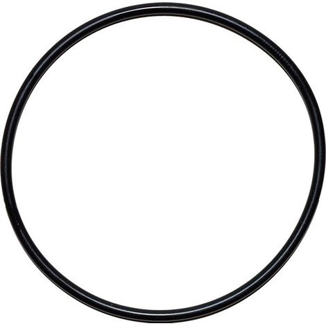 Watts – Joint torique 1,5 mm pour pot à filtre fioul – Épaisseur 1,5 mm – Pour usage fioul – Joint pour WC (1/3)