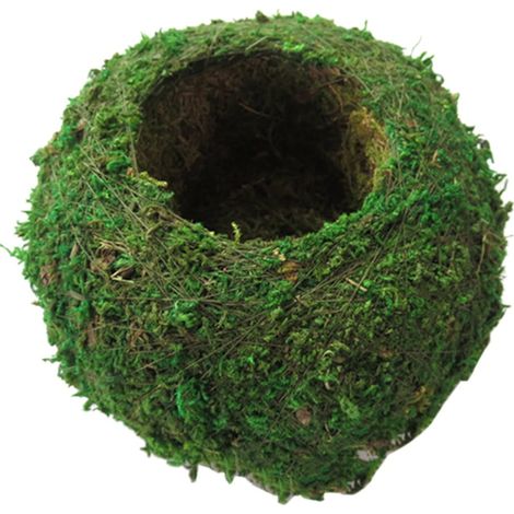 Pot À Plantes En Boule De Mousse - Forme Nid D'Oiseau - 15 Cm - Pour Bonsaï Et Plantes Miniatures - Décoration Jardin Intérieur Extérieur - 1 Pièce (1/5)