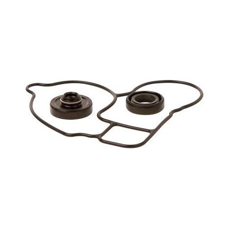 Kit Pompe à eau