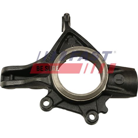 FT13553 Schnelllenkhebel vorne LE (1/3)