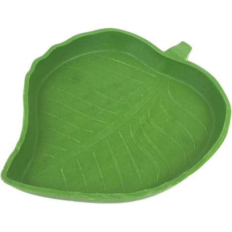Gamelle pour reptiles, petite surface lisse, décorations, habitat pour lézards, gamelle d'eau pour gecko, caméléon, léopard-style B (1/5)
