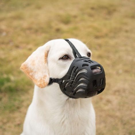 Hundemaulkorb – Verstellbarer Maulkorb für kleine, mittlere und große Hunde – Trinkt Wasser – Atmungsaktive Käfigmaske – (Schwarz, L) (1/5)