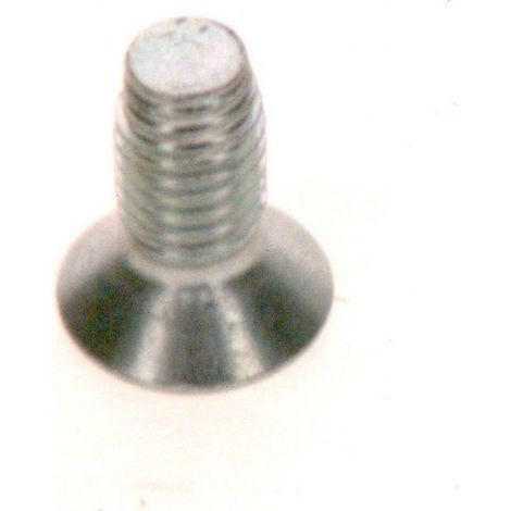 BOSCH Vite 60x14 (2x), 87186602000
