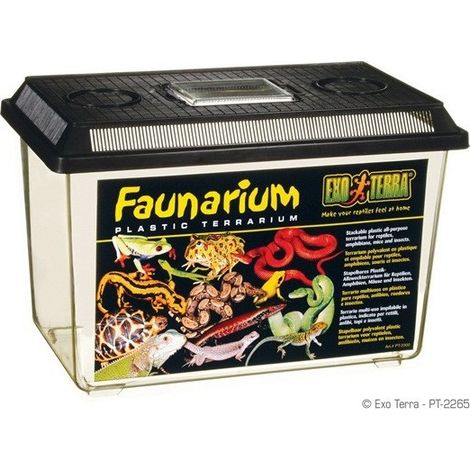 Exo Terra Faunarium - l