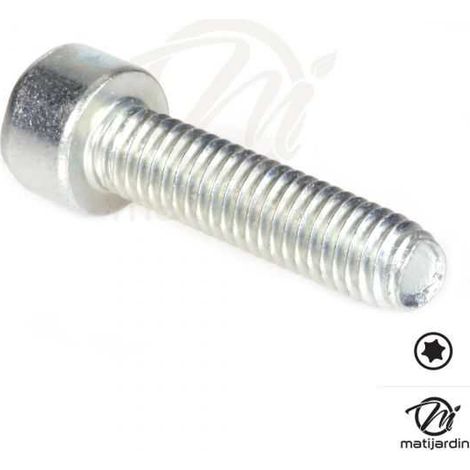 Vis Torx 27 M6 x 25 pour tronçonneuse Stihl 024 MS240 (1/4)