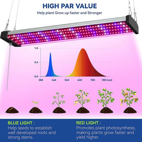 Lampe LED de croissance pour plantes - Lampe LED de croissance pour plantes - Lampe LED de croissance pour plantes (1/5)