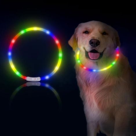 Collier chien lumineux rechargeable – Étanche, 12 LED – 4 modes – Pour sécurité nocturne (1/5)
