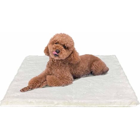 Panier pour chien de petite taille - 61 x 45 cm - Coussin pour chien moelleux - Lavable - Matelas pour chien - Dessous antidérapant - Beige (1/5)