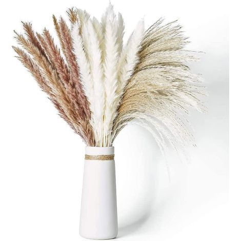 Herbe De Pampas Séchée - 60 Pièces - Couleurs Naturelles Beige Blanc Rose - Décoration Intérieure Extérieure - Pour Vase Couronne DIY (1/5)