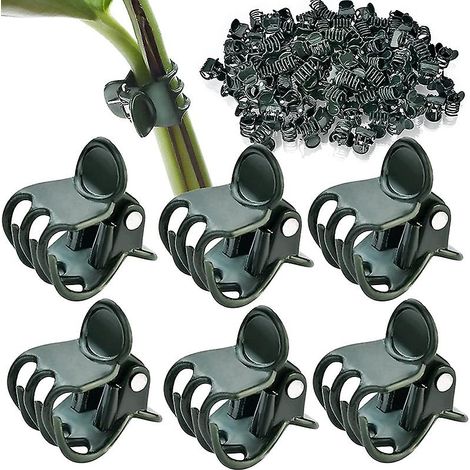 Pflanzenstützclips – 20er-Packung, Kunststoffclips für Kletterpflanzen, Orchideen und Blumen (1/5)