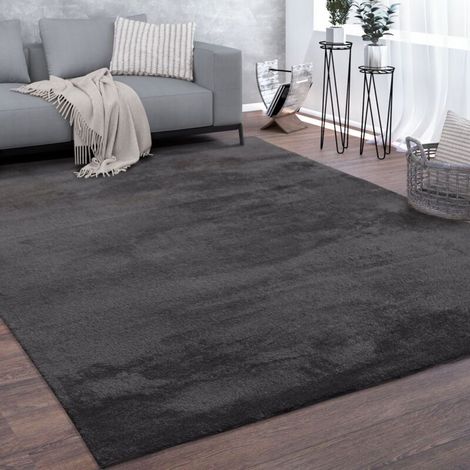 Tapis De Salon Poils Ras Lavable Monochrome Style Moderne Gris Anthracite 120x170 cm (1/4)