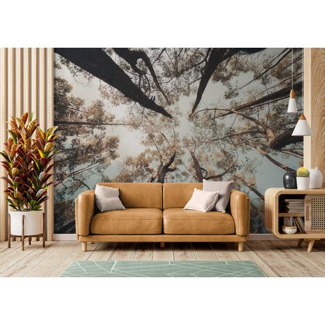 Papier Peint Forêt - Ciel entre les Branches - 150 x 250 cm (1/2)