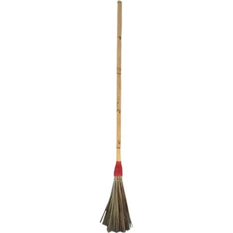 Besenpalme und Zuckerrohr-Plastiksymbol (1/2)