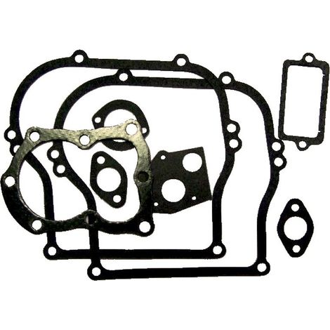 Pochette De Joints Adaptable Pour Moteur Briggs & Stratton Modèles 100200, 130200, 131200,132200, 133200, 125200 (5 Ch. Horizont