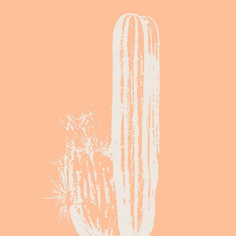 Tableau sur verre cactus bohême 30x30 cm - Impression sur Verre - Image HD  imprimée sur Verre - Tableau mural décoratif en verre - Finition Brillante - Fabriqué en France (1/5)
