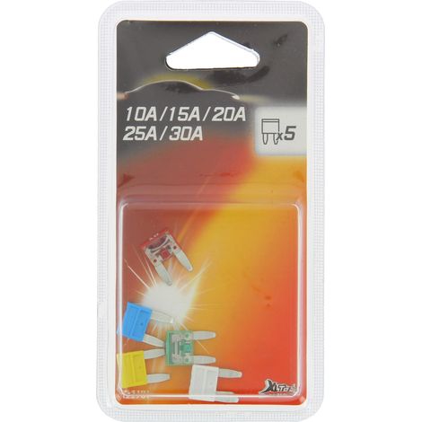5 mini fusibles assortis 10A a 30A (1/2)