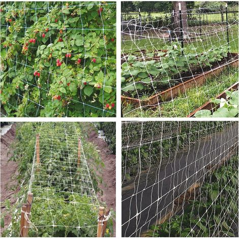 Rete ortofrutta in polipropilene Sostengreen - 10 ML.