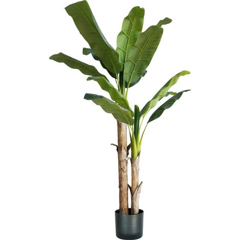 King Home Pflanze BANANO H. 170 cm 17 LEAVES komplett mit Moostopf (1/4)