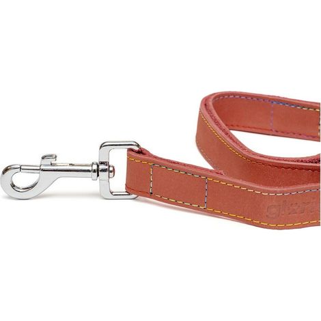 Guinzaglio per Cani Gloria Oasis 2.1 x 100 cm Rosso (1/5)