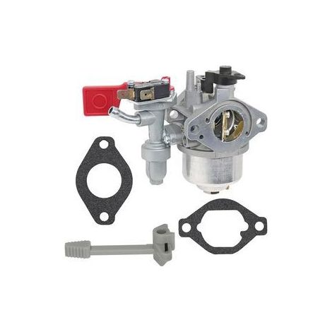 Vergaser 799060 für Briggs & Stratton Vanguard Motor – OEM 84004885, Originalteil, hohe Leistung (1/5)
