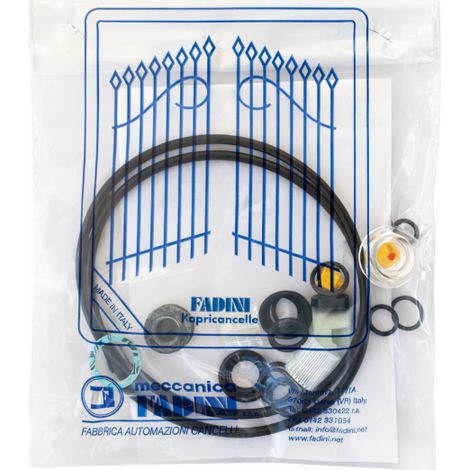 FADINI 70172 Kit Confezione Serie Guarnizioni Centralina DRIVE 700 ESTRU Ricambio