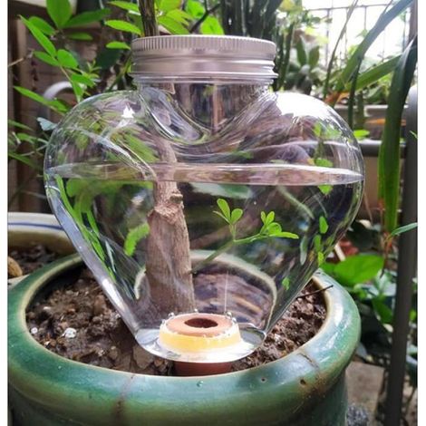 Globe Arrosage - 500 ml - Système Arrosage Automatique Pour Plantes Intérieures Et Extérieures - 3 Pièces (1/5)