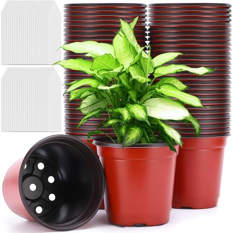 Lot de 100 Pots Semis Plastique Ø10cm - Godet Culture Réutilisable avec Étiquettes - Drainage Optimal pour Jardin Intérieur Extérieur (1/5)