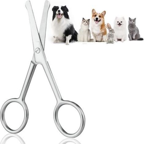 Ciseaux de Toilettage - Professionnel - 10.5 cm - Acier Inoxydable - Pointe Ronde - Ajustable (1/4)