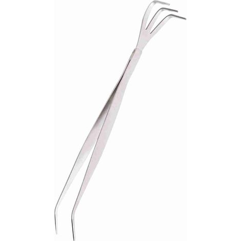 Ensemble 2 en 1 Outils de Jardinage en Acier Inoxydable Pinces et Râteau pour Bonsaï - KZQ (1/5)