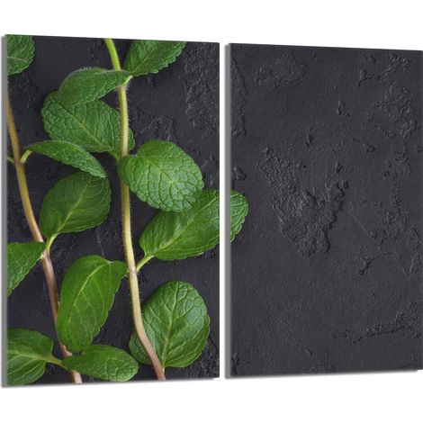 Placa protectora de vidrio para la estufa 2x30x52 Menta (1/5)