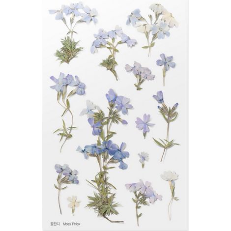 Adesivi decorativi con fiori di Phlox