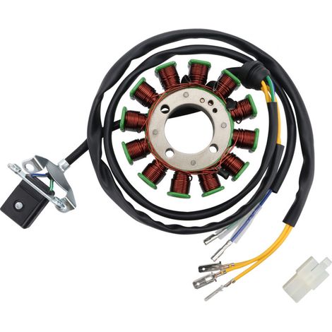 Statorspule für Caravel Shark 250 ATV/Motorrad. Ersatzteil für die magnetische Lichtmaschinenspule von ATVs/Motorrädern. (1/4)
