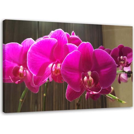 Tableau sur toile Orchidée zen Fleur rose 90x60 (1/5)