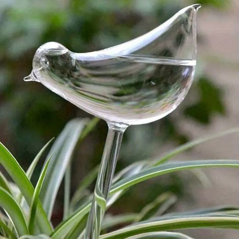 Globe d'arrosage automatique pour plantes – motif oiseau – transparent (1/4)