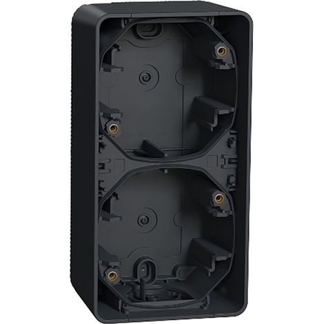 Vertikale graue Aufputzsteckdose 2-fach IP55 IK08 Mureva Styl, SCHNEIDER ELECTRIC, Ref. MUR37912 (1/4)