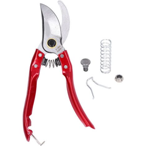 Sécateur incisif acier carbone, ergonomique, coupe nette, idéal pour taille précision et branches moyennes (1/5)