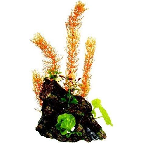 Marina dco bois tronc avec plantes l