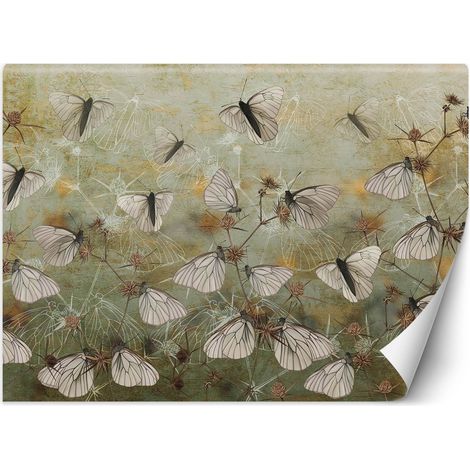 Fototapete Boho Schmetterlinge Mauer 100x70 cm (1/5)