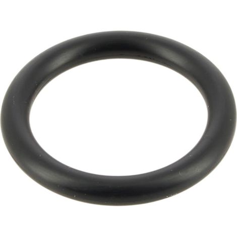 O-ring für schnellkupplung an der wand w7230319 - poolroboter polaris (1/5)