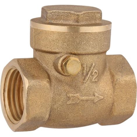 filetage femelle en laiton anti-retour battant clapet anti-retour compresseur connecteur outil de pompe empêcher l'eau de refluer (1/5)