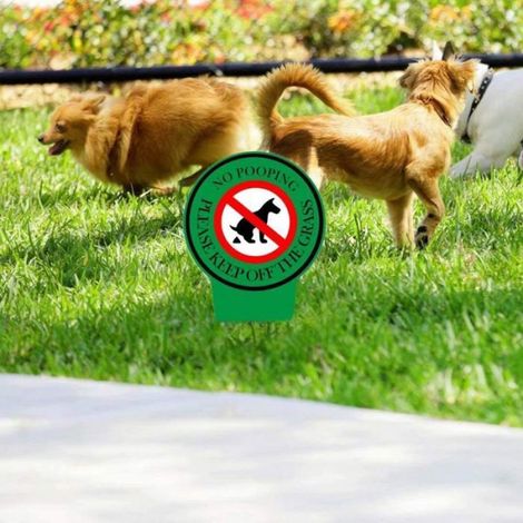 Panneau double face 15x30cm "Interdit aux chiens" avec piquet, message poli pour protéger votre pelouse des déjections canines. (1/5)