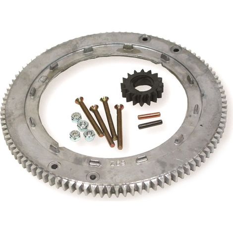 Couronne démarreur moteur Briggs et Stratton – Adaptable sur moteurs 399676, 392134, 696537 – Installation rapide avec vis et pignon 16 dents