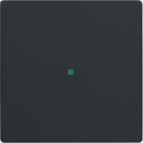 Bascule simple sans marquage noir mat