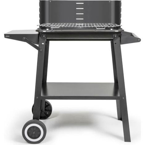 Barbacoa de carbón 48,5 x 28,8 cm - DOC328 - Livoo - (1/5)