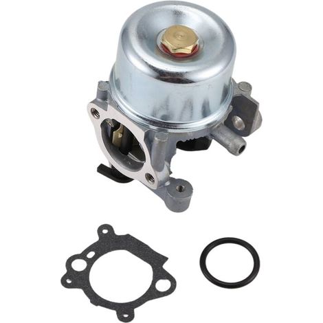 Pour Carburateur 799866 790845 799871 796707 794304 pour Moteur Tondeuse à Gazon JD (1/4)