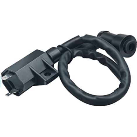 Zhenfeng motorcycle high-voltage ignition coil is suitable for models 21121-1160, 21121-1198, and KLF 22. (1/4)