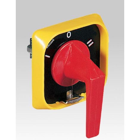 Palazzoli manovra tipo b1giallo/rossa i-0-ii 40/63a da armadi 295338