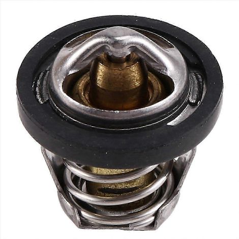 Thermostat 420222494 pour / Max 800 RK (1/5)