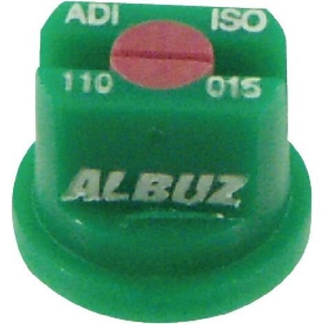 Buse ALBUZ ADI110015