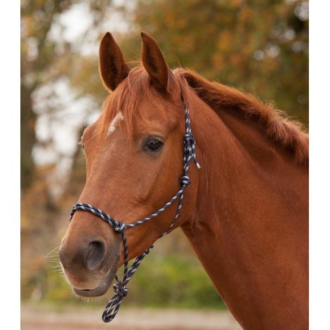 Licol Waldhausen knotted halter ajustable nylon (1/5)